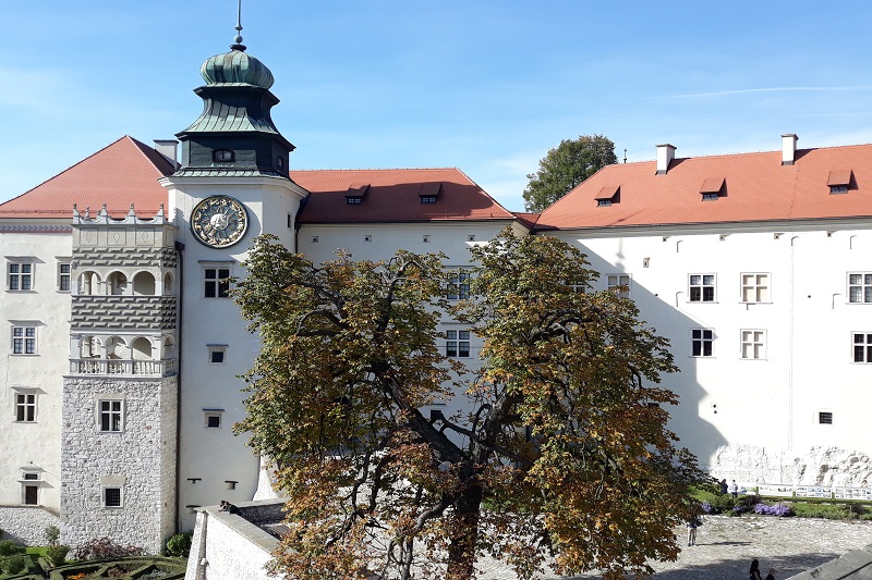 Szlak Orlich Gniazd - część południowa - wycieczka patriotyczna jednodniowa 